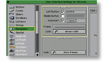 Selecting The Navigation Page